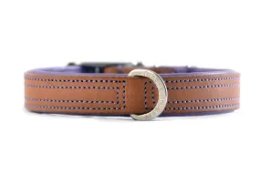 Dog Collar - Tuscan Rogue Tan|Purple NIET RUILEN ARTIKEL