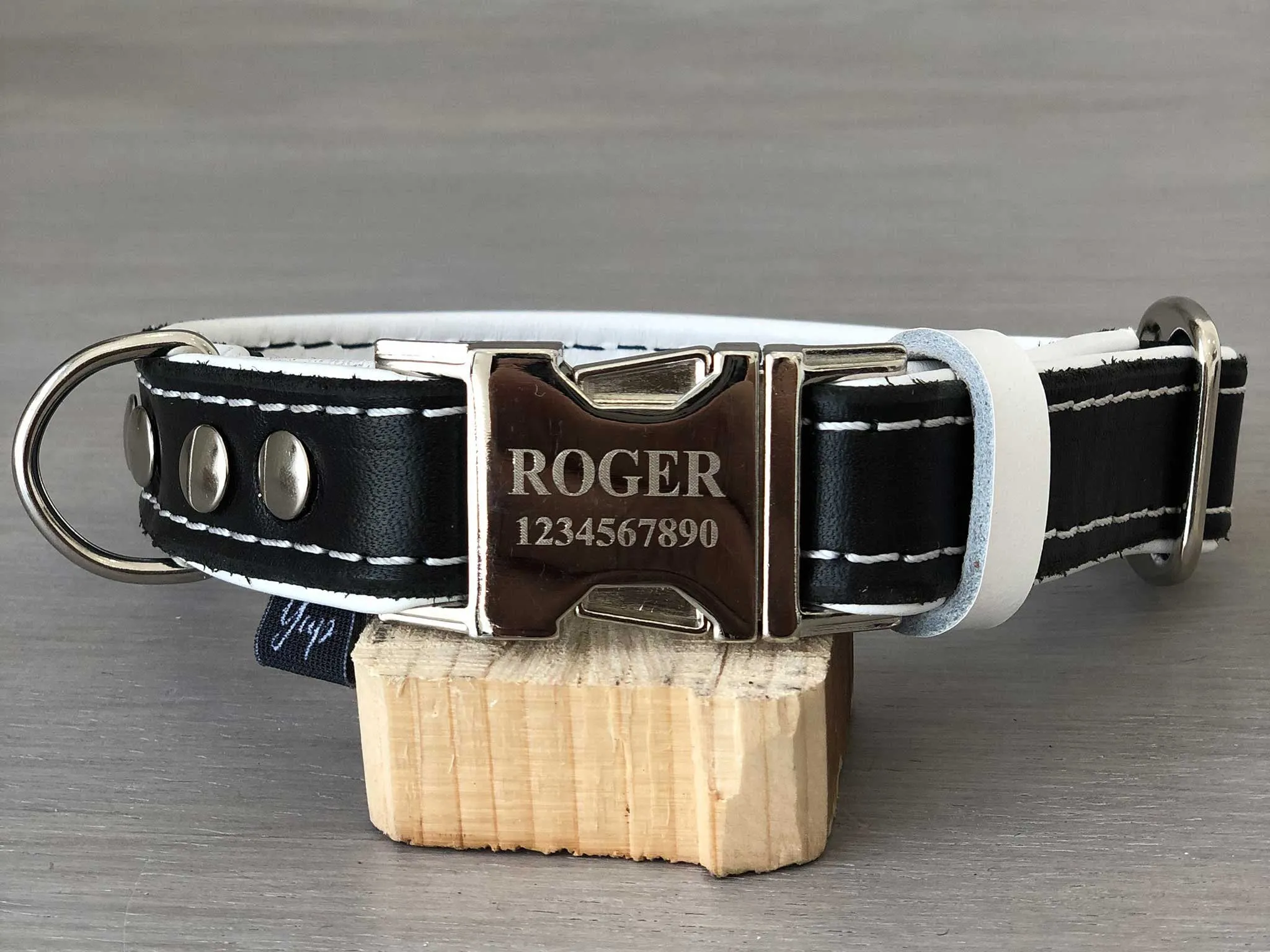 Padded Quick Release Leather Dog Collar With Custom Color and Hardware