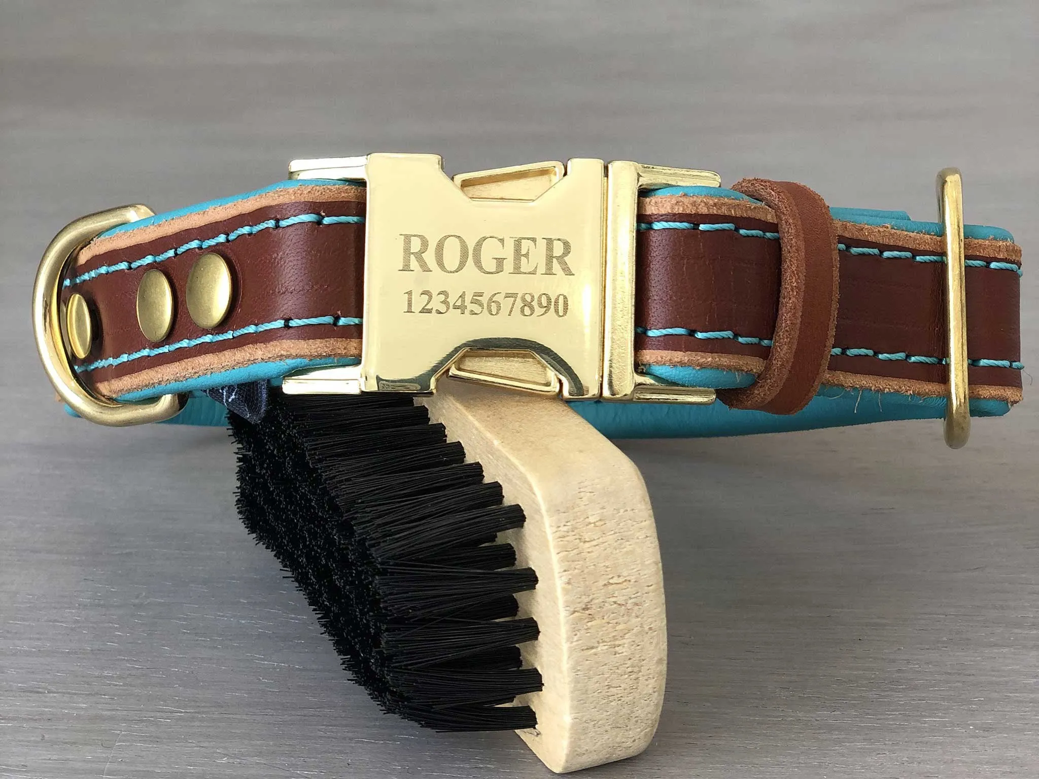 Padded Quick Release Leather Dog Collar With Custom Color and Hardware