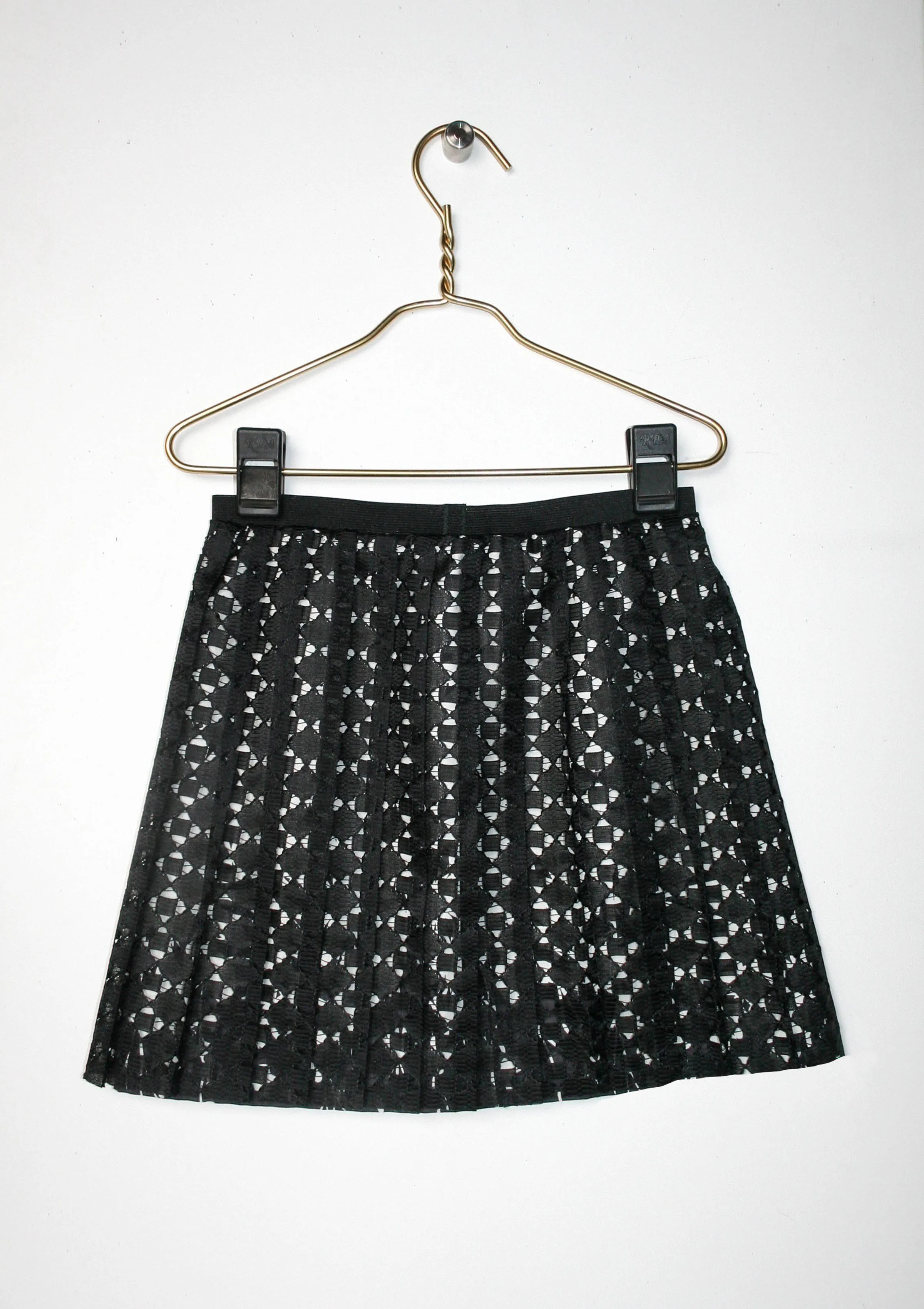 Pleated Lace Skirt