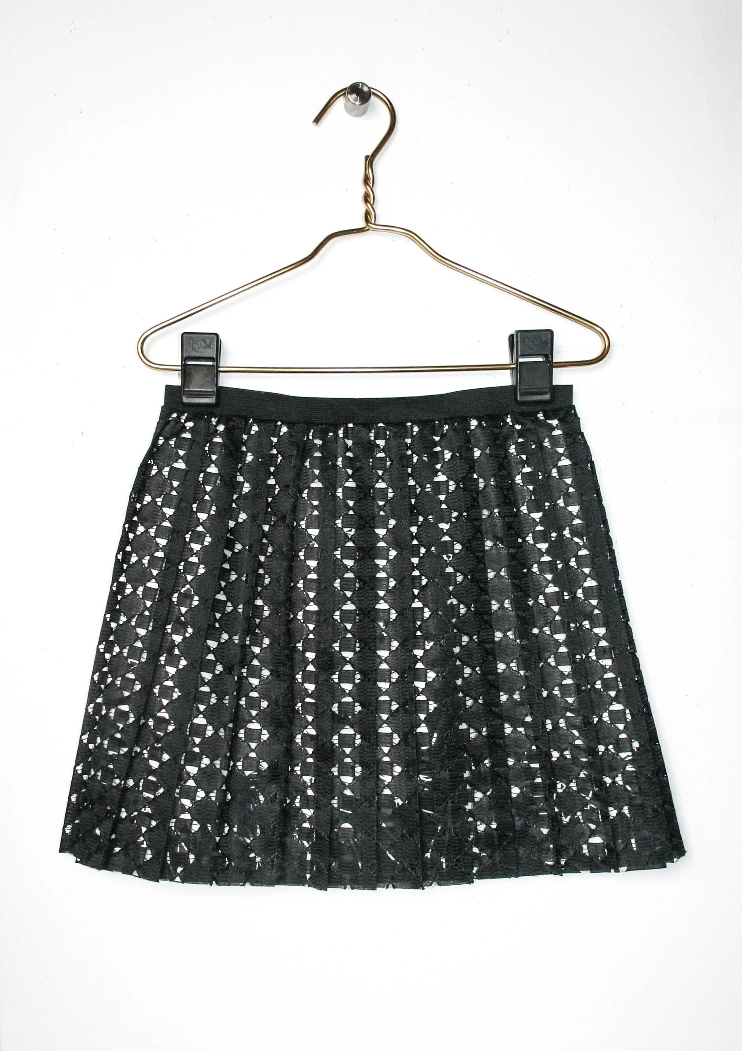 Pleated Lace Skirt