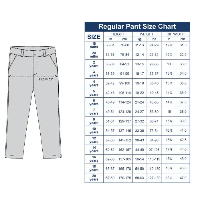 Plum Regular Fit Corduroy Pants