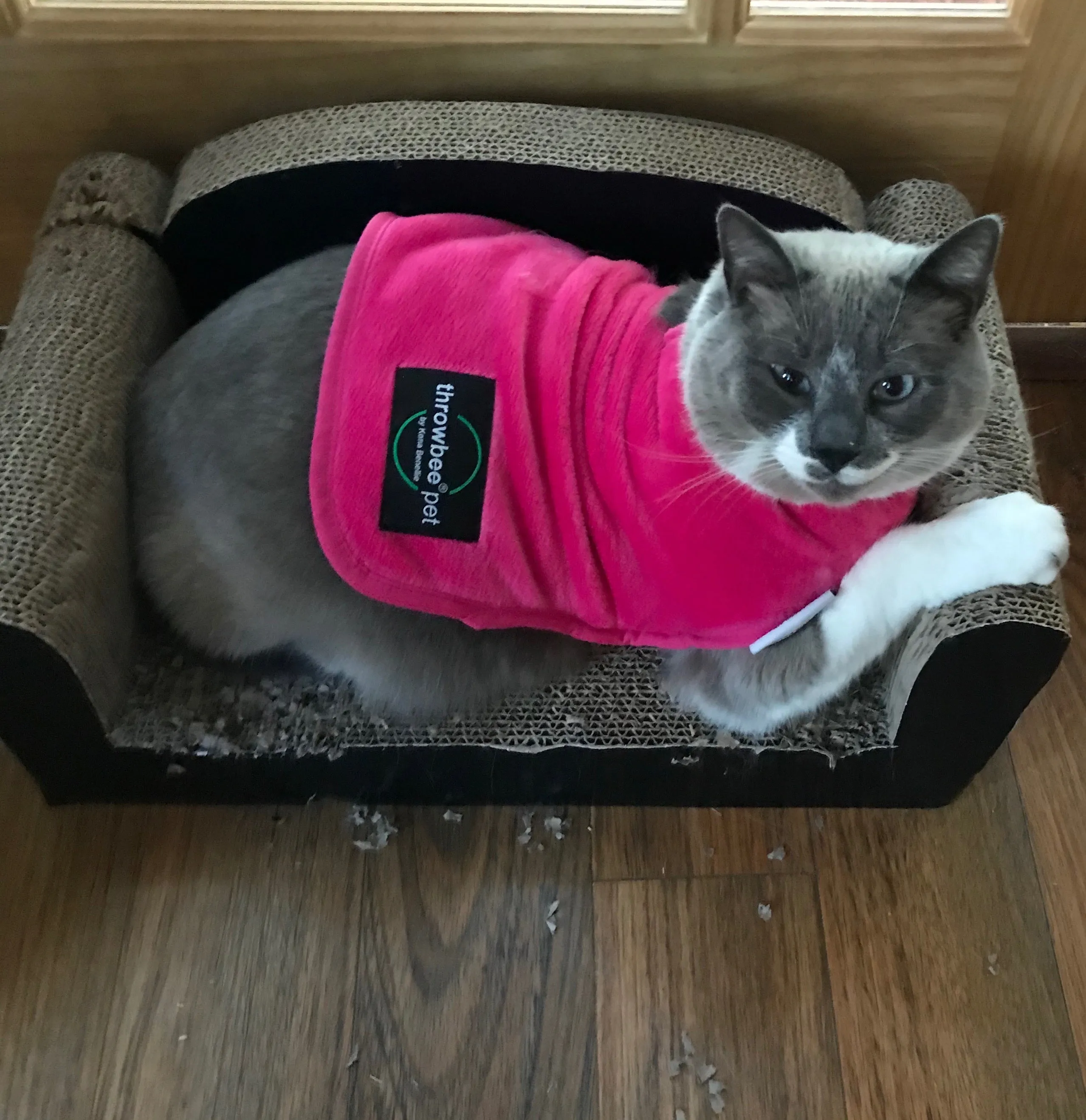 throwbee® Pet Poncho - Pink